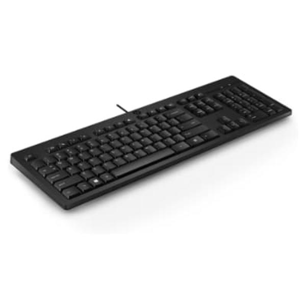 HP USB Wired Desktop 125 Keyboard - RUS Svart