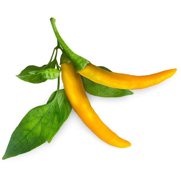 Click & Grow Smart Garden refill Yellow Chili 3pcs