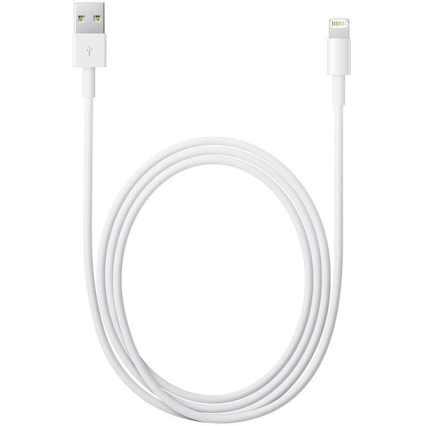 Apple Lightning to USB Cable (2m)