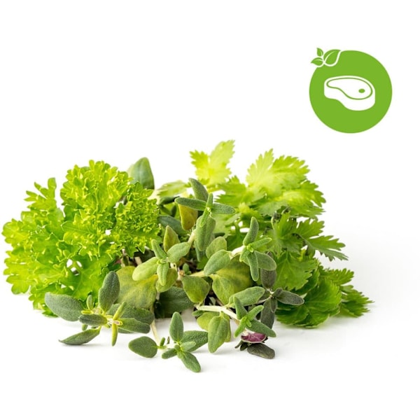 Click & Grow Plant Pod Steak Mix 9pcs