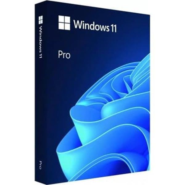 Microsoft Windows 11 Pro ENG Intl USB FPP