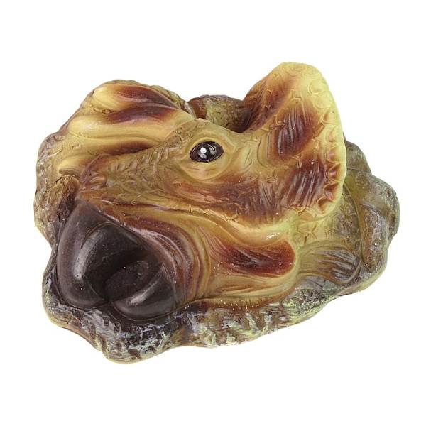 Triceratops Dinosaur Excavation Educational Kit
