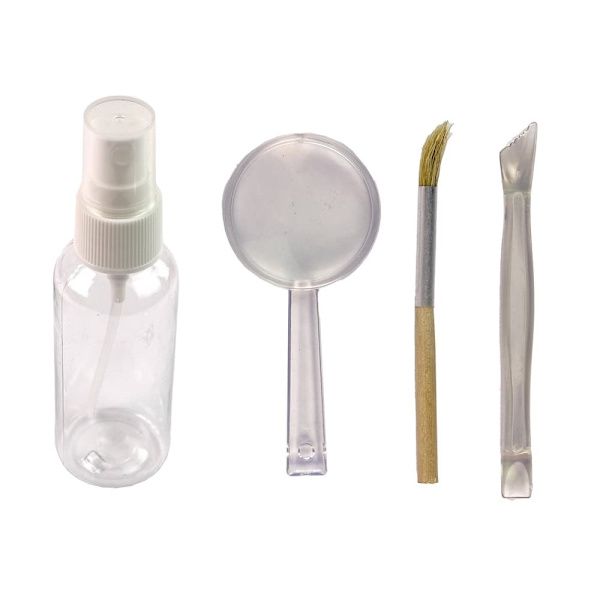 Ammonite Shark Excavation Educational Kit