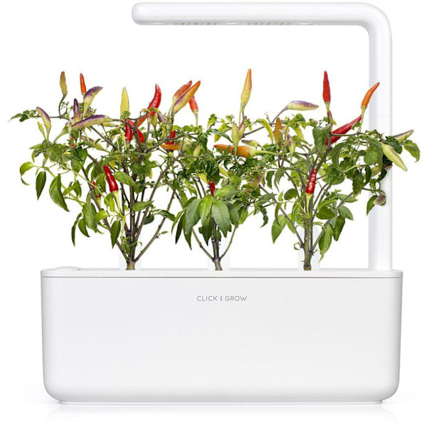 Click & Grow Smart Garden refill Red Hot Chili Pepper 3pcs