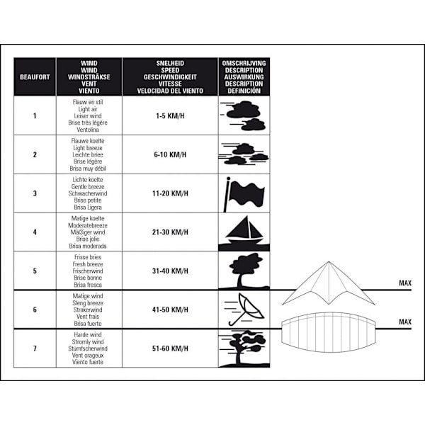 STUNT DRAGONFLY 51WL Kite Eagle Black/Anthracite