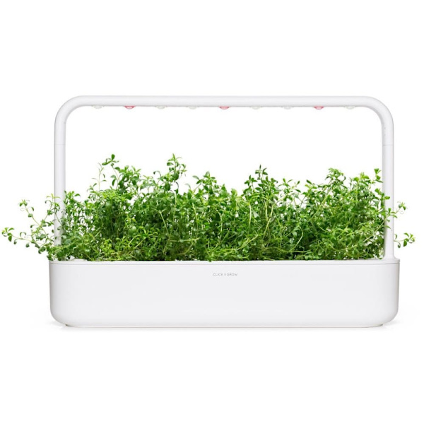 Click & Grow Smart Garden refill Mountain Savory 3pcs