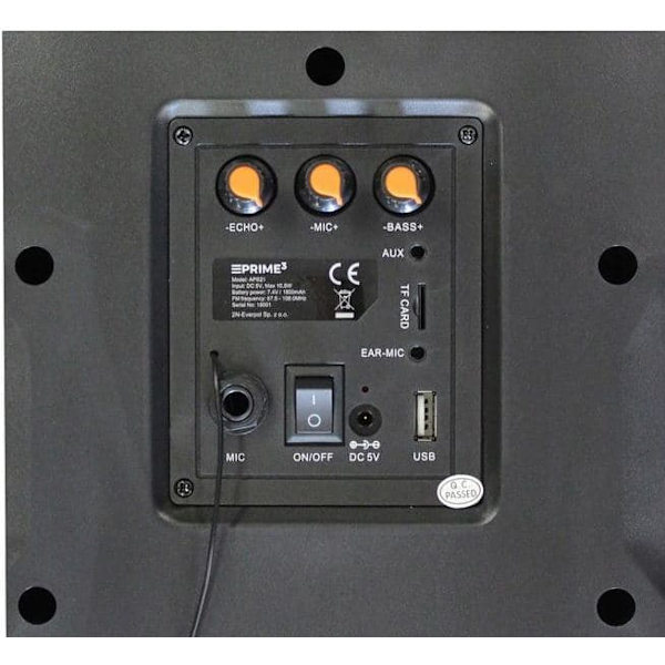 Głośnik APS21 System audio Bluetooth Karaoke