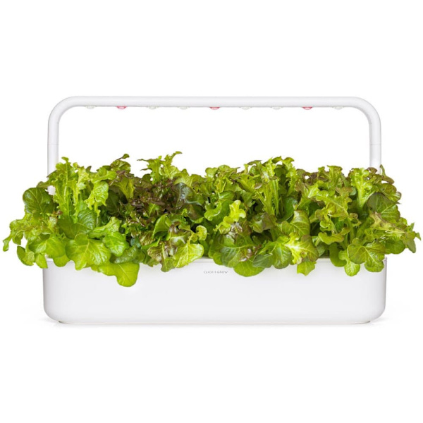 Click & Grow Smart Refill Red Oakleaf Lettuce 3pcs