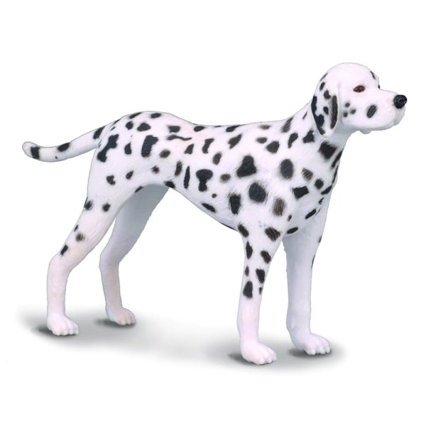 COLLECTA (M) Dalmatian 88072