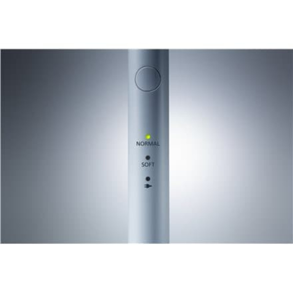 Panasonic | Toothbrush | EW-DM81 | Rechargeable | For adults | Number of brush heads included 2 | Number of teeth brushing modes 2 | White