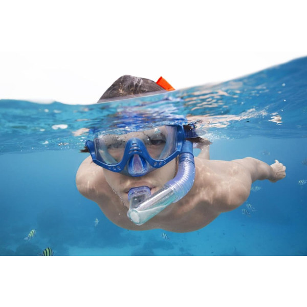 BESTWAY Hydro-Swim  Meridian Snorkel Set, 25020