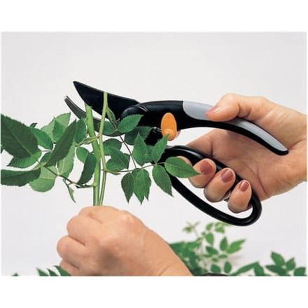 Fiskars Fingerloop Pruner Bypass P44 Pruner Bypass