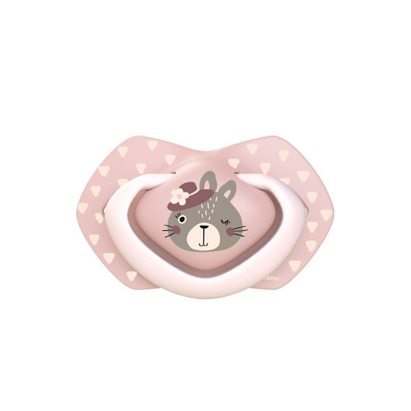 CANPOL BABIES silicone symmetrical soothers BONJOUR PARIS, 6-18m, 2 pcs,  22/648_pin