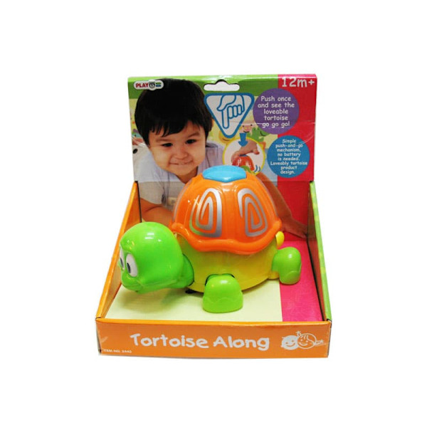 Tortoise along 2445
