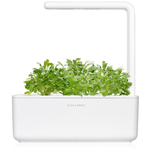 Click & Grow Smart Garden refill Cress 3pcs