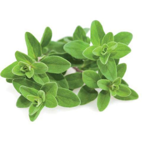 Click & Grow Smart Garden refill Marjoram 3pcs