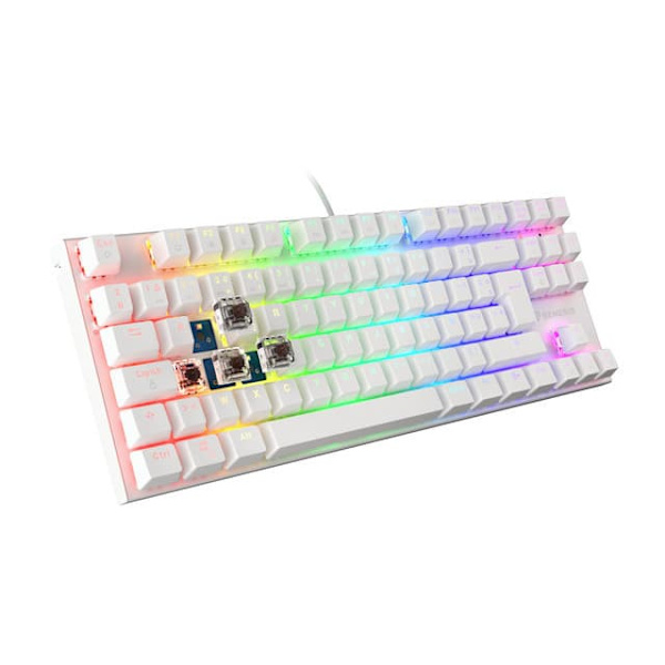 GAMING KEYBOARD GENESIS THOR 303 TKL FR RGB BACKLIGHT MECHANICAL BROWN WHITE HOT SWAP
