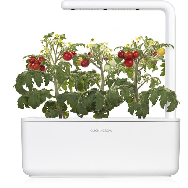 Click & Grow Smart Garden refill Mini Tomato 3pcs