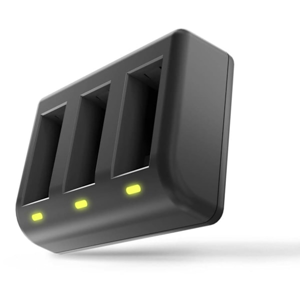 Newell Charger SDC-USB GoPro AHDBT-901