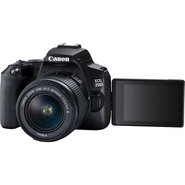 Canon | Megapixel 24.1 MP | Image stabilizer | ISO sensitivity (max) 256000 | Wi-Fi | Video recording | Manual | CMOS | Black