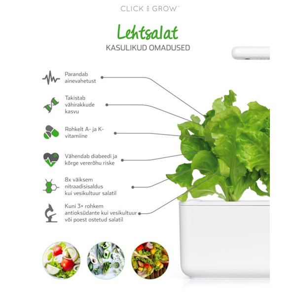 Click & Grow Smart Garden refill Lettuce 3pcs