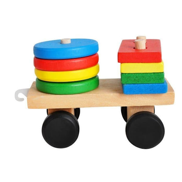 RoGer Wooden Educational Train Sorter Bricks
