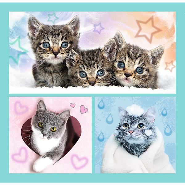 TREFL Puzzle 3 in 1 set Kittens
