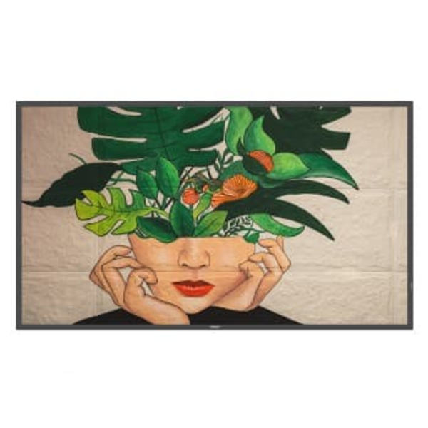 55BDL4511D 139CM 55IN VA LED Sort