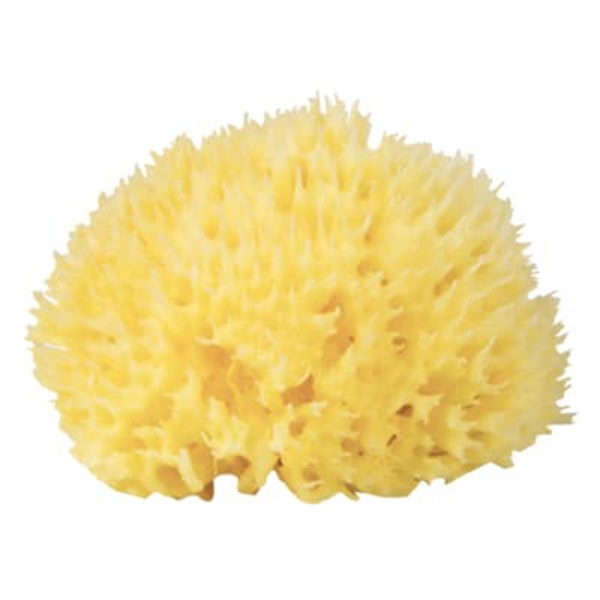Babù® natural sponge nr.10