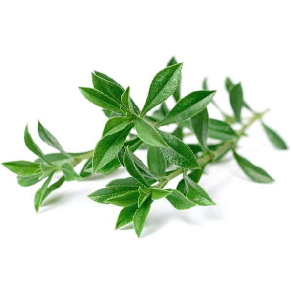 Click & Grow Smart Garden refill Mountain Savory 3pcs