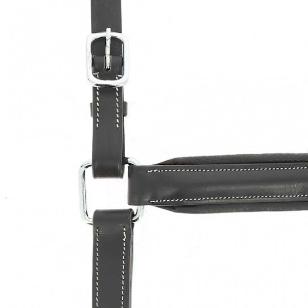 Norton Equestrian Anatomisk Grimma Brun Full