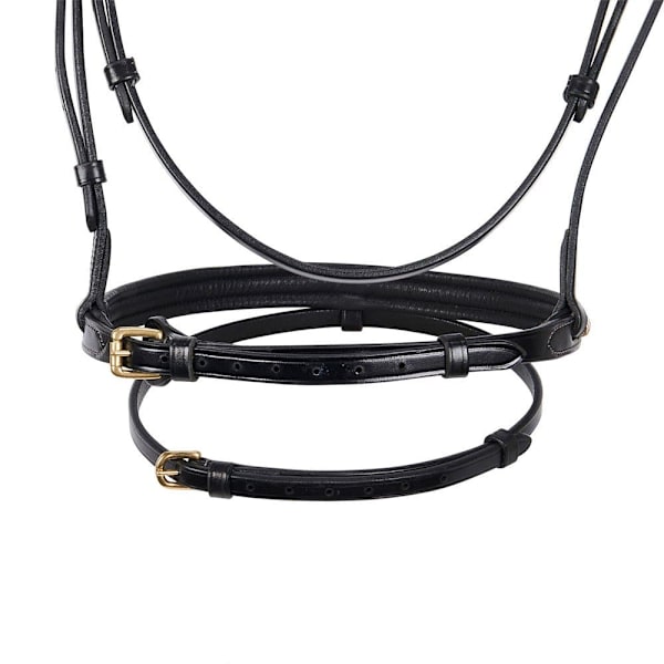 Equestro Ottone Halter  Cob