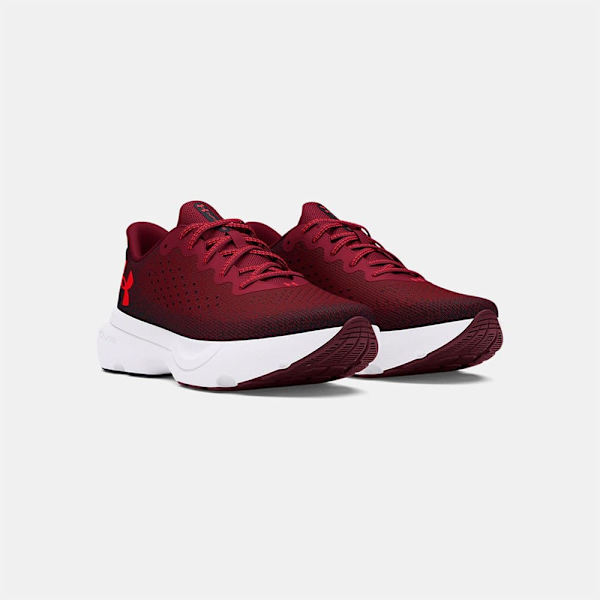 Under Armour Infinite Løbesko  EU 42 1/2 Mand