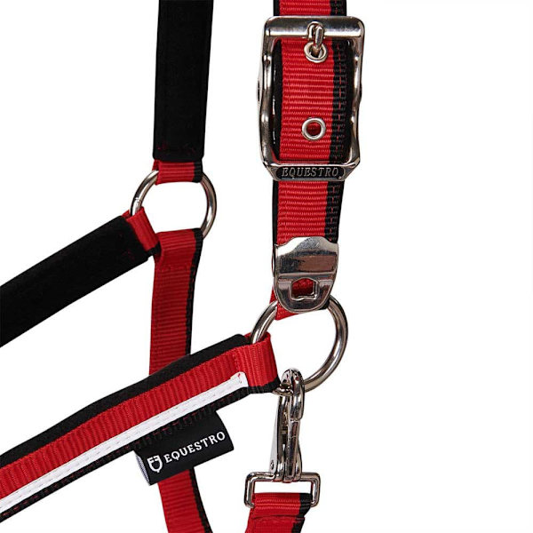 Equestro White Trim Riimu Ja Talutin  Coby