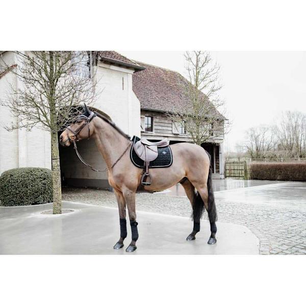 Kentucky Lentoreitti Wellington Basic Velvet  Cob