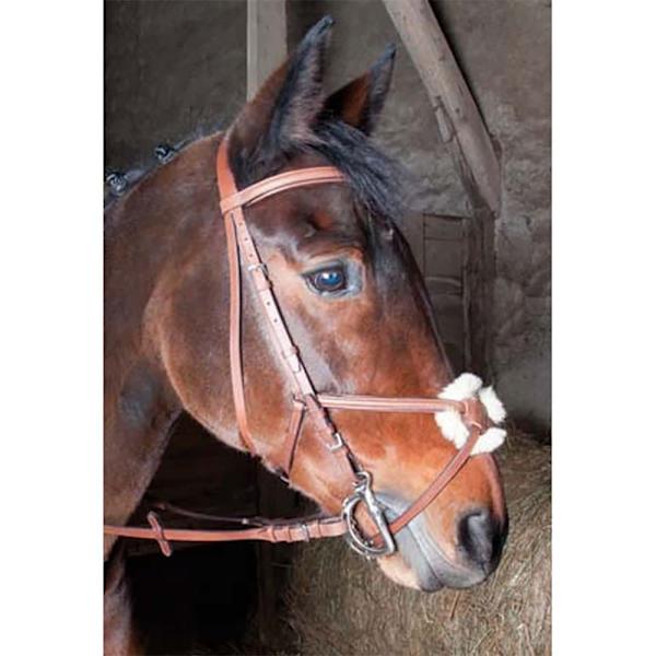 T.de.t Sisley Bridle & Cross Noseband - **suitset Ja Ristikuononauha  Full