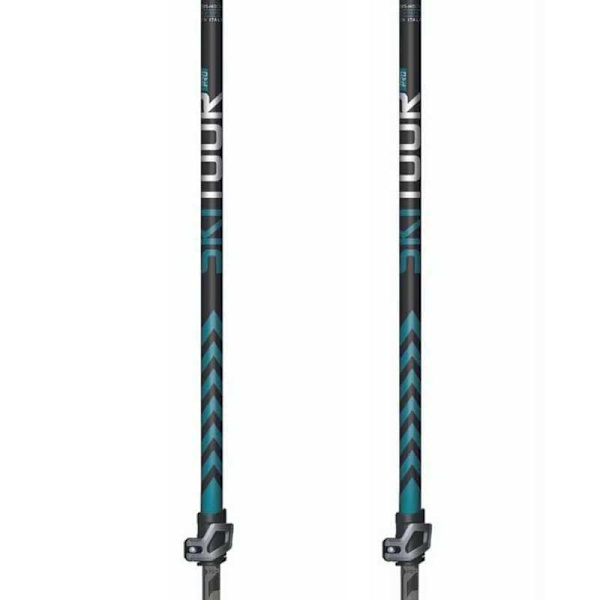 Masters Pylväät Skitour Pro Hopeinen 88-140 cm