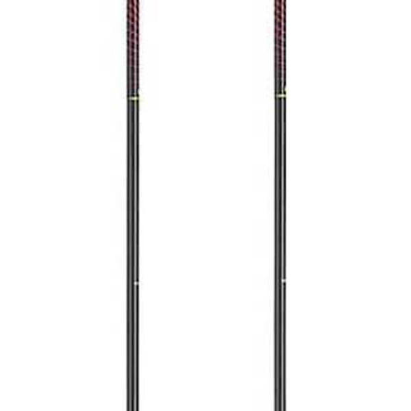 Leki Polacker För Barn Vertical Silver 130 cm