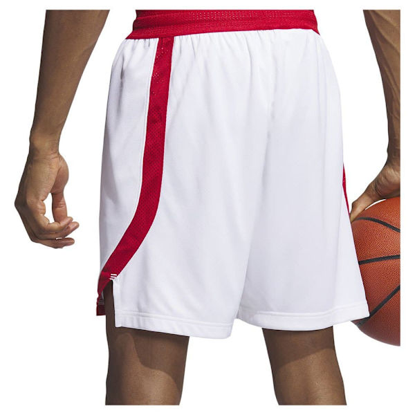 Adidas Shorts Paris 23/24 Icon Squad Hvid M / Regular Mand