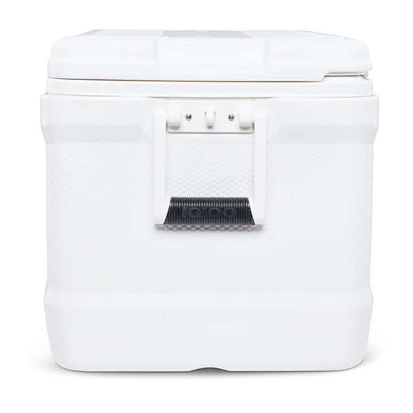 Igloo Coolers Styv Bärbar Kylare Contour 70 66l Durchsichtig