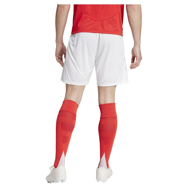 Adidas Benfica Lisboa 24/25 Shorts Hem  L
