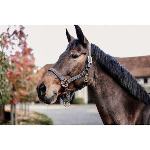 Kentucky Punottu Riimu Nylon Ruskea Cob