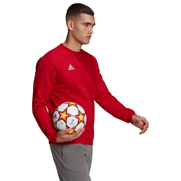 Adidas Huppari Entrada 22 Stadium Sw Punainen S / Regular Mies