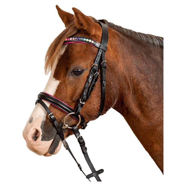 Star Tygla Pinky Combined Noseband Brun Shetland