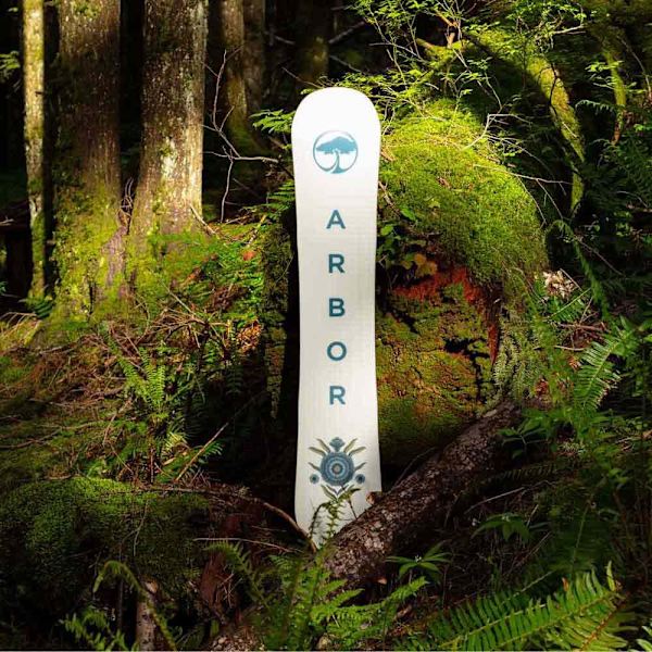 Arbor Nainen Lumilauta Cadence Camber Beige 148