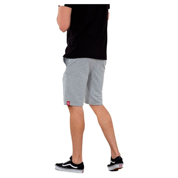 Alpha Industries Basic Ai Shorts Grå 2XL Man