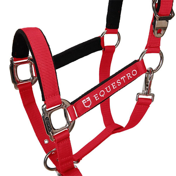 Equestro Riimu Ja Lyijy Shiny Fittings  Cob