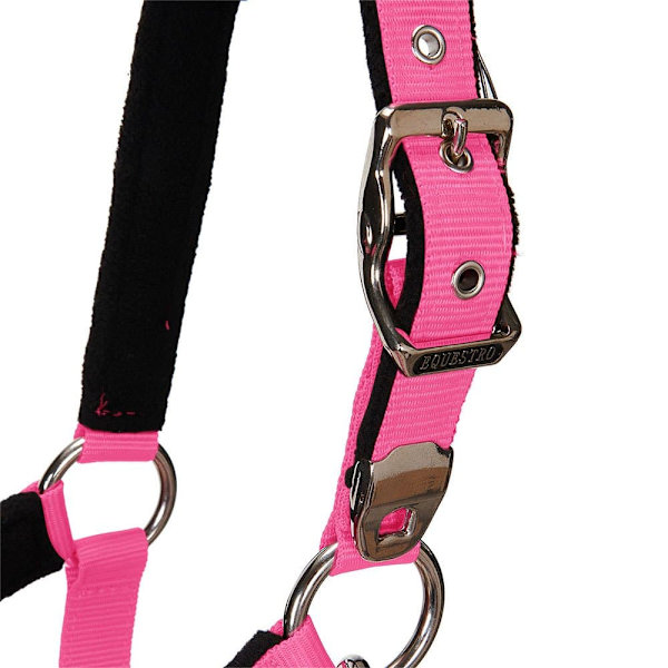 Equestro Grimma&bly Shiny Fittings  Cob