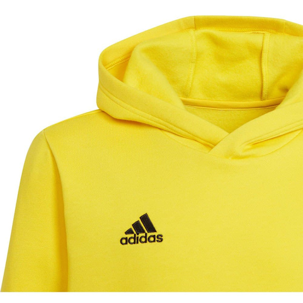 Adidas Luvtröja Entrada 22 Gul 13-14 Years