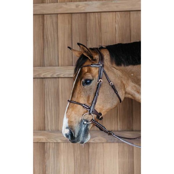 Dyon Flätat Nosgrimma Träns Med Avtagbart Flash  Pony
